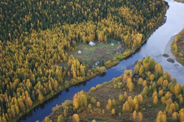 Спасатели и инспекторы 