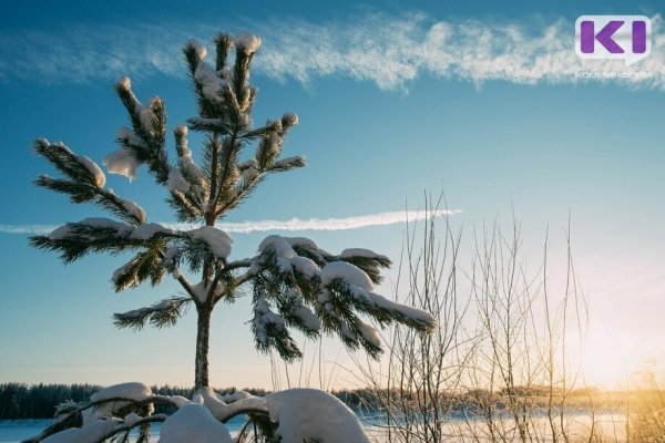 Жителей Коми приглашают поддержать республику в голосовании за 