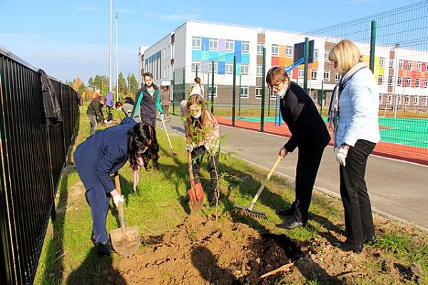 В сыктывкарском поселке Краснозатонский открыли Аллею памяти