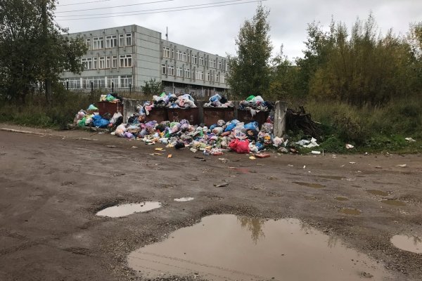 Реакция в соцсетях: вывоз разобранного автомобиля и мусора, подключение освещения и установка автобусных павильонов