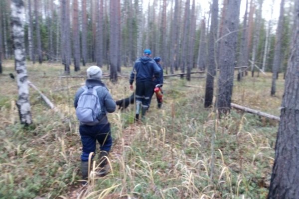 В Прилузье с помощью самодельного гудка спасатели отыскали заблудившуюся в лесу женщину с собакой 