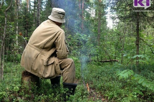 Сыктывкарские спасатели ищут пропавшего в Сыктывдине охотника