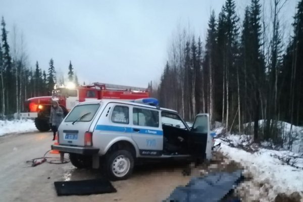 Водитель попавшей в смертельное ДТП полицейской машины под Печорой получил тяжелые травмы