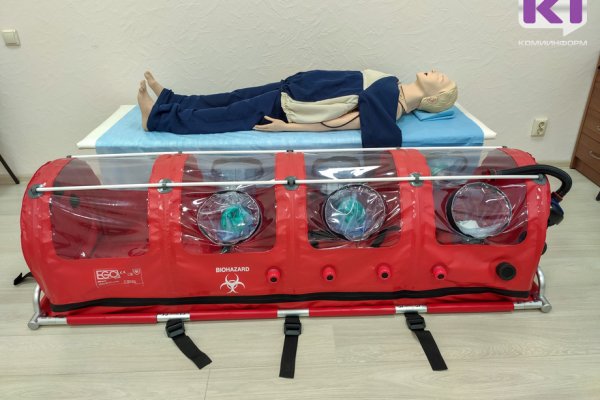 В Коми коронавирус подтвердили еще у 231 человека, выздоровели 191

