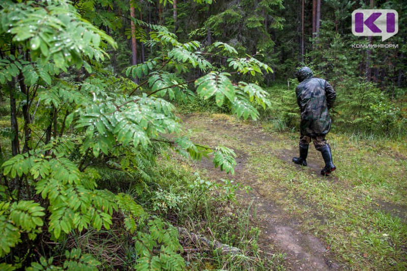 С жителя Коми взыскали ущерб, причиненный лесу