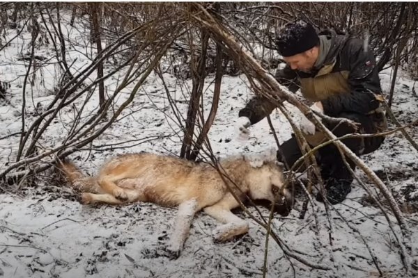 В Сыктывдине за дачами 