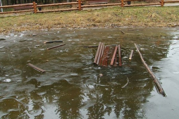 Полицейские Сосногорска установили личности вандалов в парке 