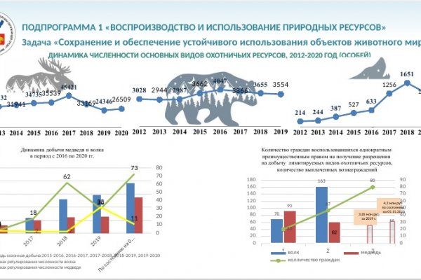 Охотники Коми на добыче волка и медведя заработали 4,2 млн рублей 