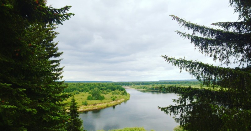 Ландшафтный заказник “Каргортский”