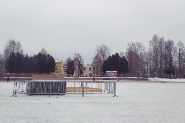 Новогоднюю ель для Стефановской площади привезут с Коквицкой 