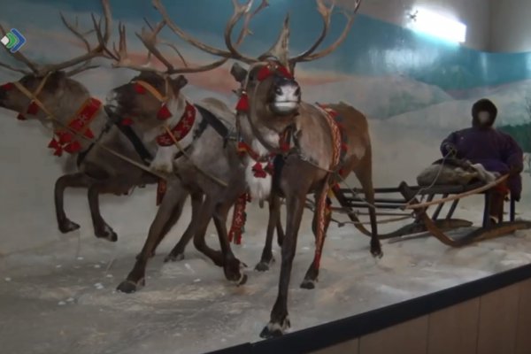 Проект телеканала 