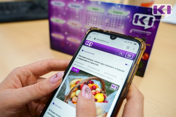 В уходящем году жителей Коми больше всего интересовали новости о COVID-19, здоровье и финансах