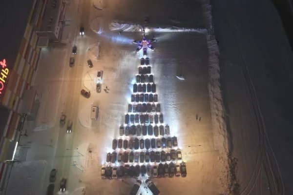 Автовладельцы Сыктывкара построили елку из машин