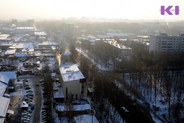 В Сыктывкаре спасатели пришли на помощь упавшей с пятого этажа кошке