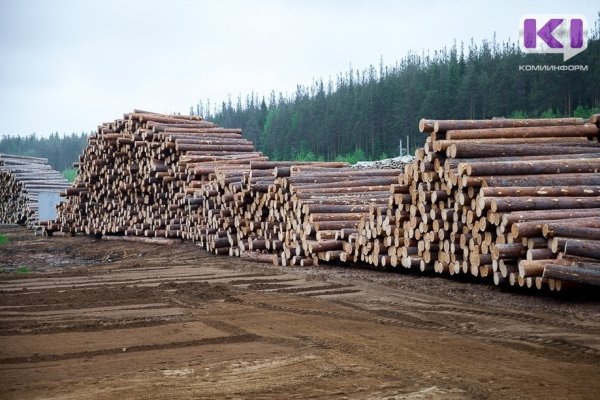 Минэкономразвития Коми соберет на одной площадке промышленников лесной отрасли