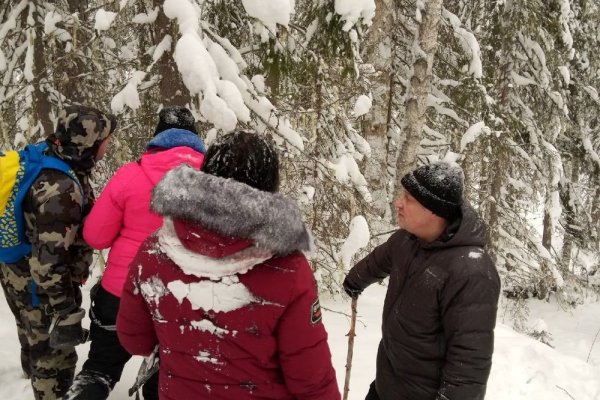 В Ухте волонтеры приостановили поиск пропавшей Натальи Баскаковой