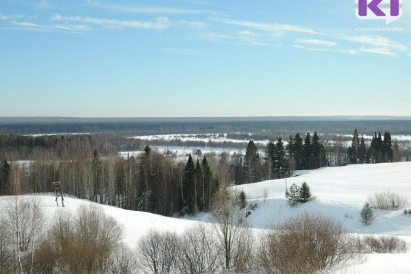 Прогноз погоды в Коми на 4 февраля: туманное утро