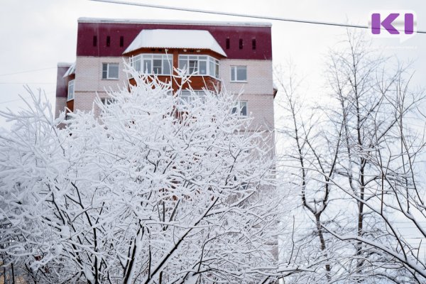 Аномальные морозы в Коми: температура упадет до -49°С