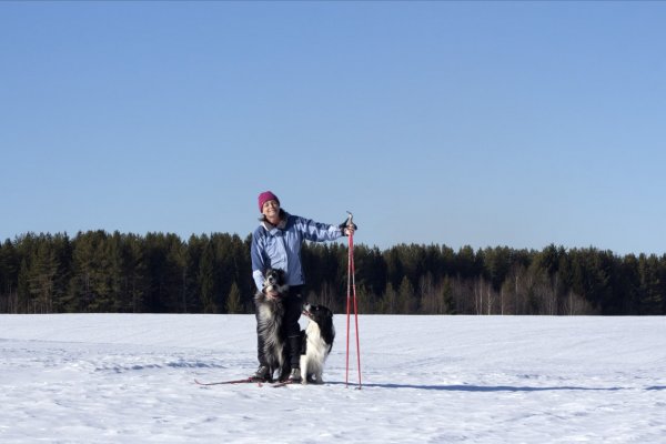 Коми серьезно отстает в культуре обращения с животными - кинолог Ирина Степанова 