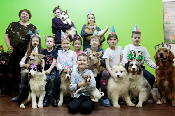 Звериный клуб 