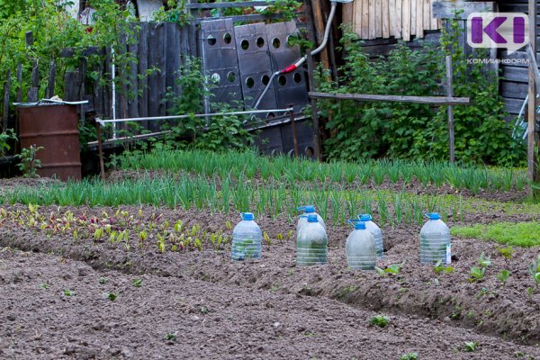 Сыктывкарцам предлагают купить земельные участки на аукционах