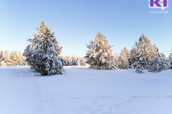 Прогноз погоды в Коми на 20 февраля: днем до -37°С