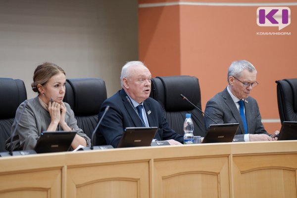 Откуда дровишки: в Коми предприниматели используют мошеннические схемы при продаже твердого топлива