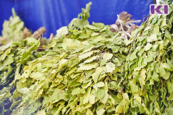 Сыктывкарцев просят убрать бани по улице Рейдовая