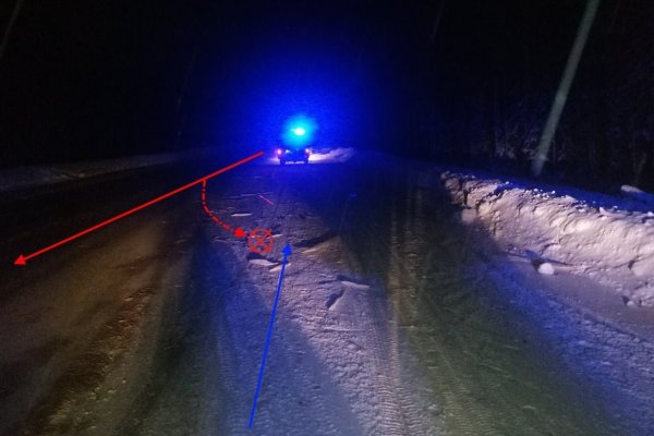 На объездной Сыктывкара Fоrd наехал на бревна, пострадали водитель и пассажирка  