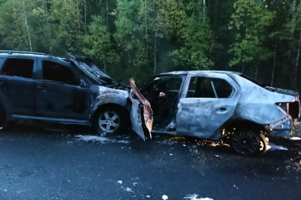 В Сысольском районе в суд направлено уголовное дело о смертельном ДТП на трассе 