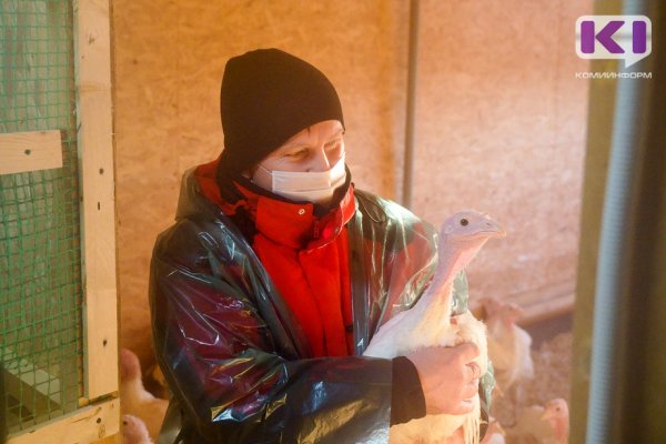 В Коми 1 758 пенсионеров получают надбавку за сельский стаж 

