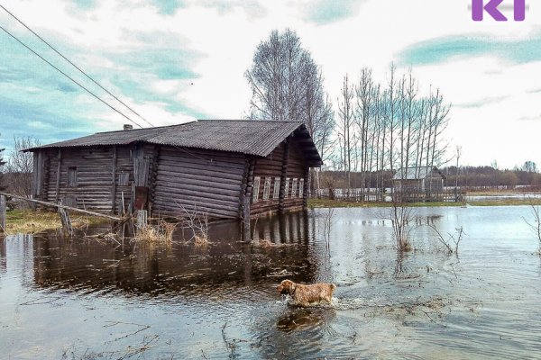 Синоптики Коми рассказали, когда наступит паводок 