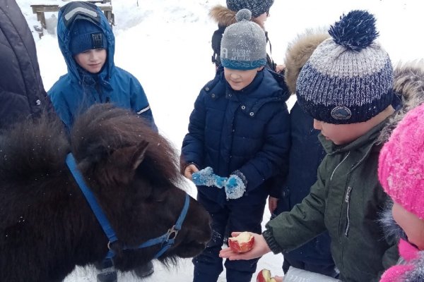 Наука, экология и патриотизм: что организовали для школьников Коми на период весенних каникул