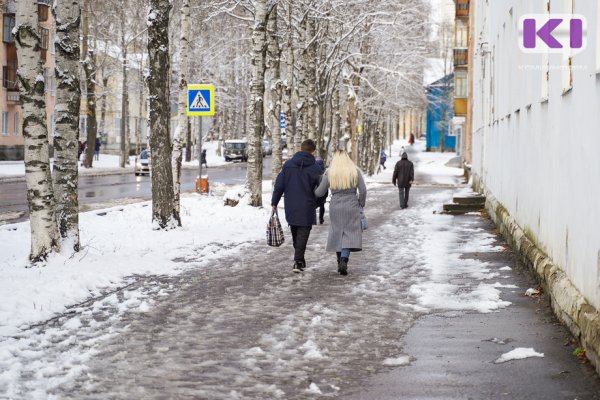 Прогноз погоды в Коми на 24 марта: +3 и метель