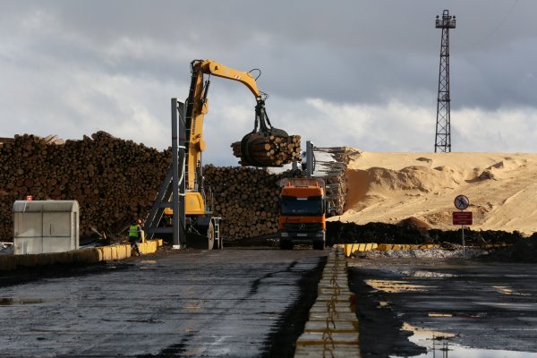 На площадке Монди СЛПК представили деревообрабатывающий кластер Республики Коми

