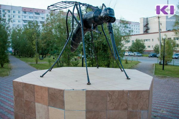 Жители Усинска смогут проголосовать за три проекта по благоустройству территорий 