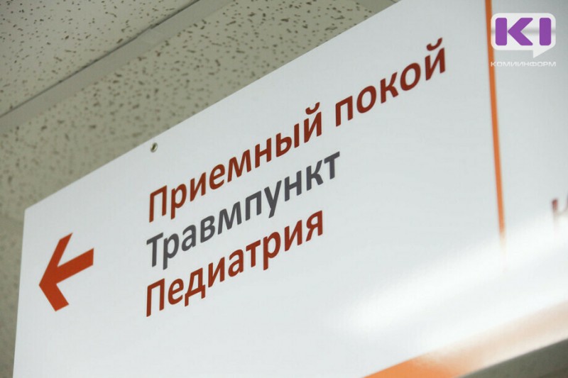 В каких районах Коми дети чаще страдают от агрессии собак