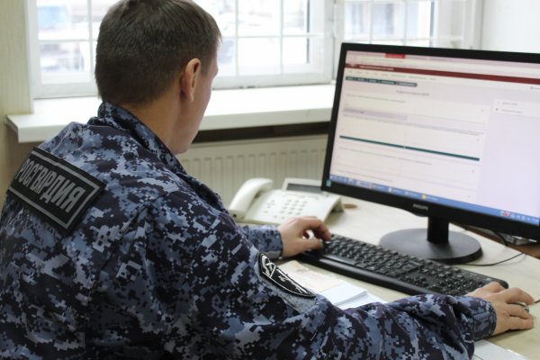 Сотрудники Росгвардии Коми за неделю изъяли 12 охотничьих ружей