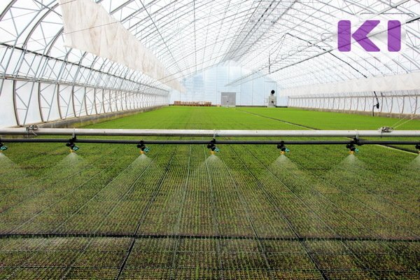 Оператор теплиц, кавист, асессор и другие необычные вакансии апреля в Коми