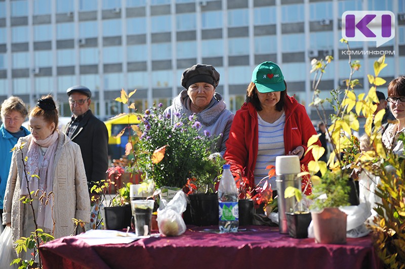 Субботник и выставка-ярмарка: как в Сыктывкаре пройдет праздник Весны и Труда 1 мая