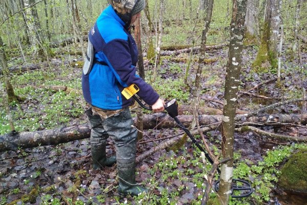 Энергетики 