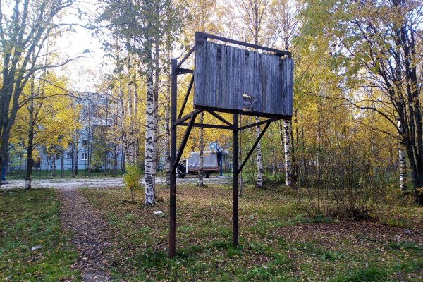 Сыктывкар может обрести новый городской сквер