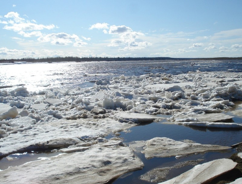 С паводком в дома воркутинцев вновь пришла "цветная" вода