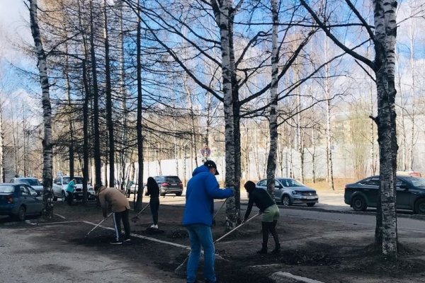 Коми энергосбытовая компания поддержала Всероссийский субботник

