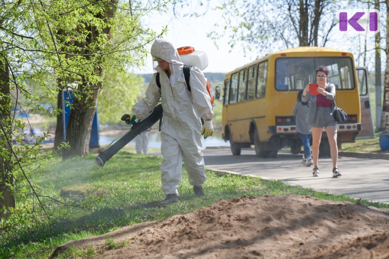 За неделю жертвами клещей стали 336 жителей Коми