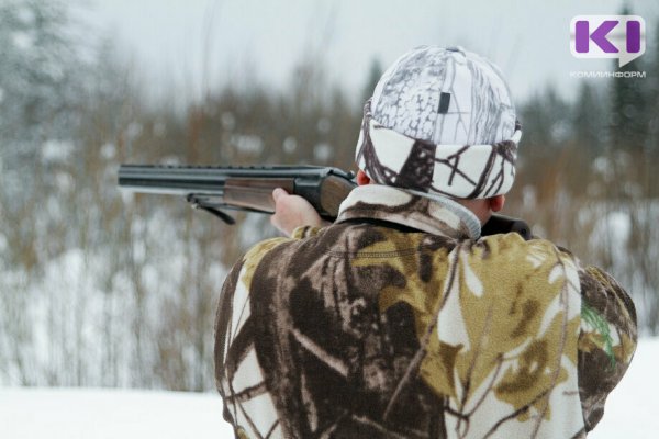 Сыктывкарский суд отказал в вознаграждении охотнику за добычу волка