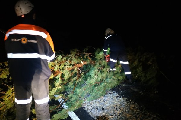 В Прилузье ураган повалил 50 деревьев на трассе 