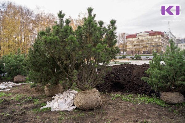 Стало известно, когда уберут забор у Центрального бассейна в Сыктывкаре