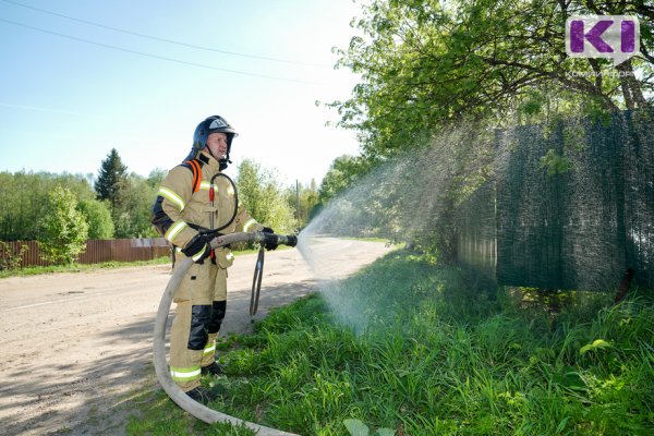 В селе Ыб Сыктывдинского района от лесного пожара условно сгорели 30 домов