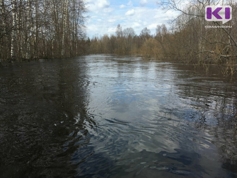 На реке Ижма местные жители обнаружили всплывшее тело